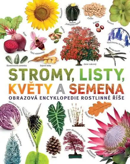 Vysoce Kvalitní Stromy, listy, květy a semena - Obrazová encyklopedie rostlinné říše