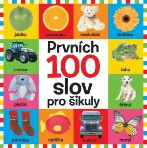 Must-Have Prvních 100 slov pro šikuly