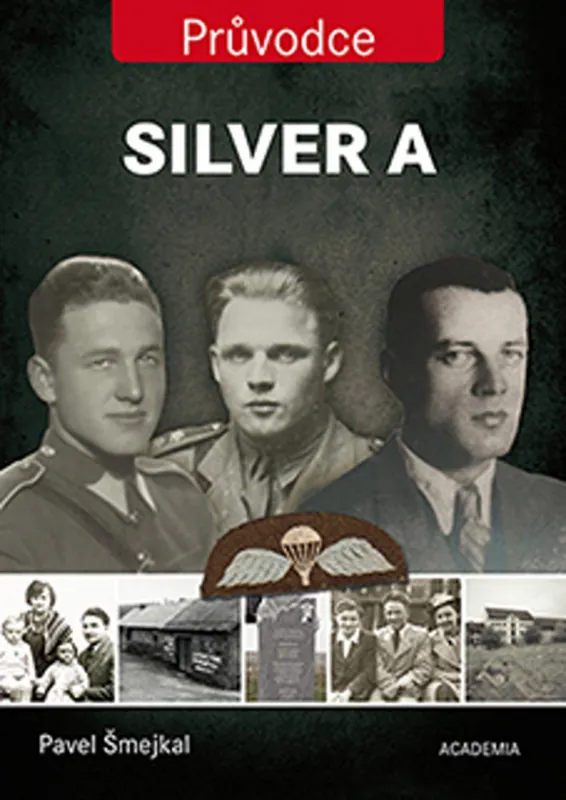 Must-Have Silver A