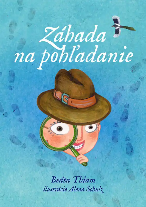 Výprodej Záhada na pohľadanie