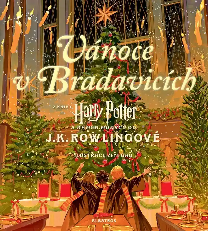Harry Potter Vánoce v Bradavicích Výhodná Nabídka