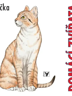 Značkový Domácí zvířata
