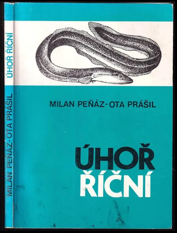 Úhoř říční Oblíbený